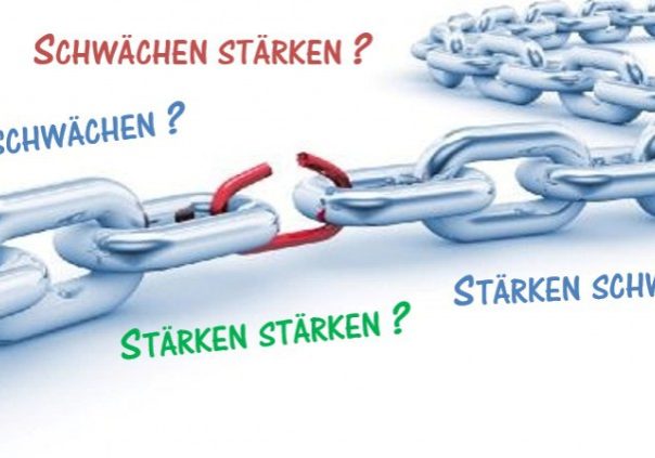 Staerken Schwaechen Entwicklung